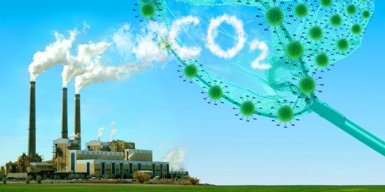 A NOVA APOSTA DE CIENTISTAS PARA CAPTURAR CO2 DA ATMOSFERA E REDUZIR AQUECIMENTO GLOBAL