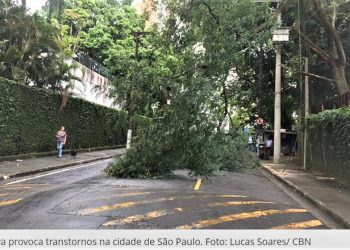 SÃO PAULO TEM QUASE 500 PONTOS DE RISCO NAS CHUVAS, DIZ SECRETÁRIO DE MUDANÇAS CLIMÁTICAS