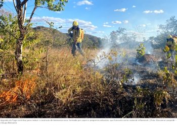 POR QUE O FOGO É IMPORTANTE PARA O CERRADO?