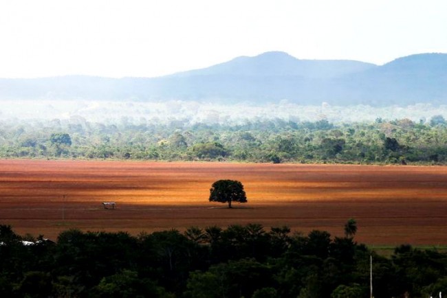 Alto Paraíso (GO) - Área de cerrado desmatada para plantio no município de Alto Paraíso (Marcelo Camargo/Agência Brasil)