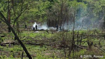 Desmatadores em ação: é comum, durante as visitas de campo, se deparar com restos de árvores derrubadas e madeira queimada no terreno (foto: DW/N.Pontes)