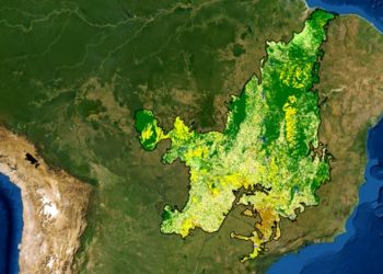 CERRADO TEM ALTA DE 20% NO DESMATAMENTO E MAIOR ÁREA DERRUBADA DE UMA ÚNICA VEZ