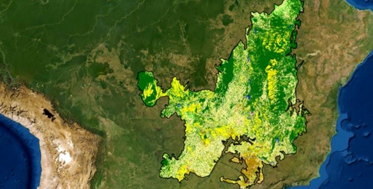 CERRADO TEM ALTA DE 20% NO DESMATAMENTO E MAIOR ÁREA DERRUBADA DE UMA ÚNICA VEZ