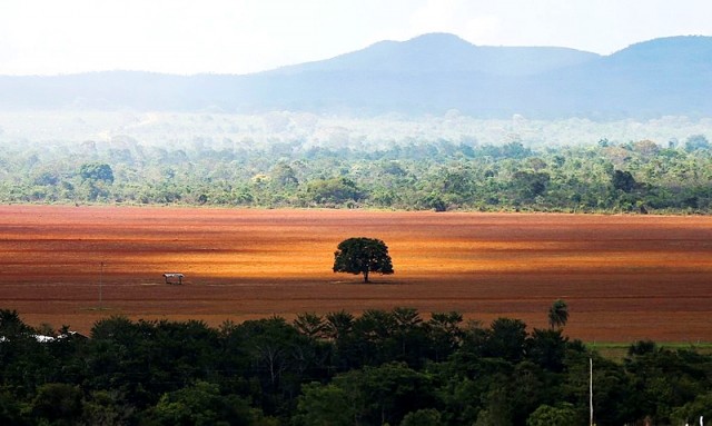 Alto Paraíso (GO) - Área de cerrado desmatada para plantio no município de Alto Paraíso (Marcelo Camargo/Agência Brasil)