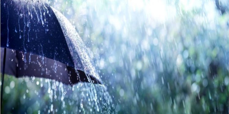 “É PAU, É PEDRA, É O FIM DO CAMINHO…”