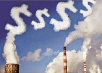 A ORGANIZAÇÃO DO MERCADO DE CRÉDITOS DE CARBONO NO BRASIL