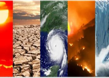 PERDAS E DANOS E LITIGÂNCIA CLIMÁTICA