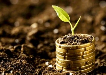 MERCADO DE CARBONO REGULADO APROVADO