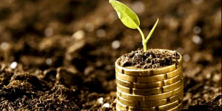 MERCADO DE CARBONO REGULADO APROVADO