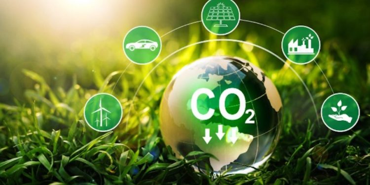 É PRECISO UMA GOVERNANÇA PARA O MERCADO DE CARBONO NO BRASIL