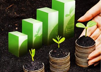 A VEZ DA CONTABILIDADE AMBIENTAL