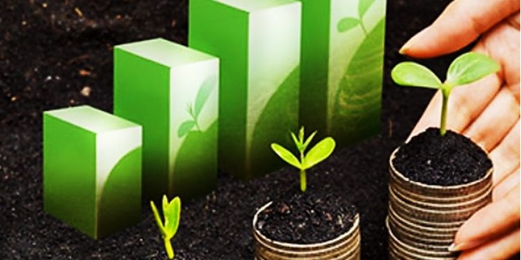 A VEZ DA CONTABILIDADE AMBIENTAL