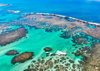 ESTUDO APONTA CONTAMINAÇÃO ALARMANTE NOS TRÊS RIOS DA COSTA DOS CORAIS