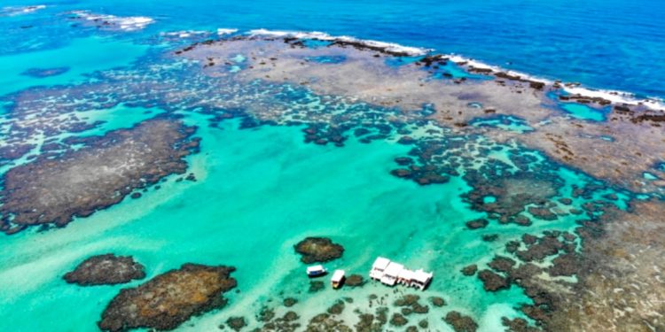 ESTUDO APONTA CONTAMINAÇÃO ALARMANTE NOS TRÊS RIOS DA COSTA DOS CORAIS