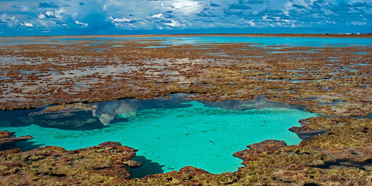 LEILÕES DO PETRÓLEO PÕEM EM RISCO PATRIMÔNIOS AMBIENTAIS