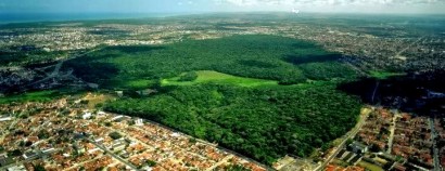 Mata do Buraquinho, região metropolitana de João Pessoa, PB