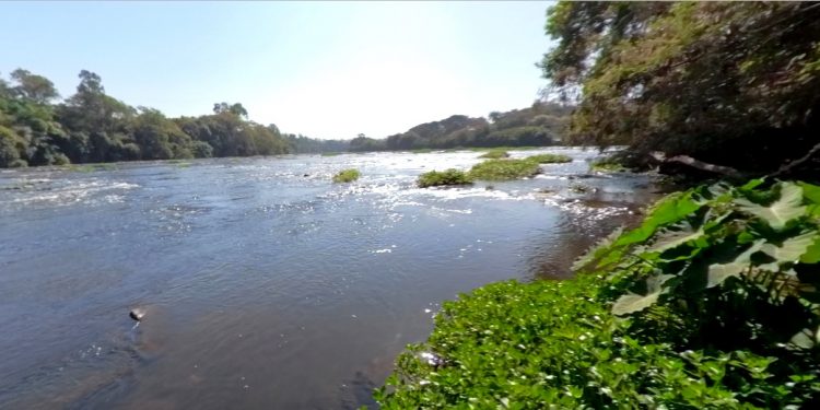 TOUR VIRTUAL MOSTRA CORREDORES AGROECOLÓGICOS EM PIRACICABA, ANHEMBI E SÃO PEDRO