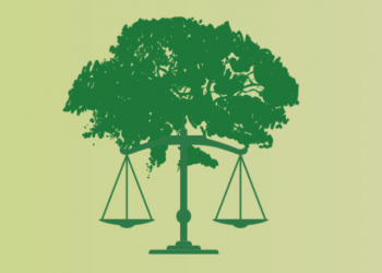 Os principais institutos da Lei da Política Nacional do Meio Ambiente na visão do TJSP