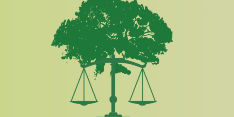 Os principais institutos da Lei da Política Nacional do Meio Ambiente na visão do TJSP