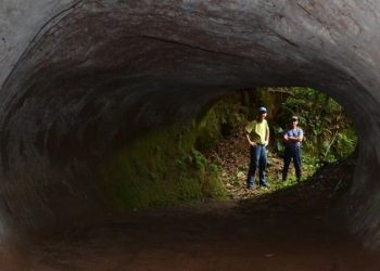 OS MISTERIOSOS TÚNEIS CAVADOS POR PREGUIÇAS-GIGANTES NO BRASIL