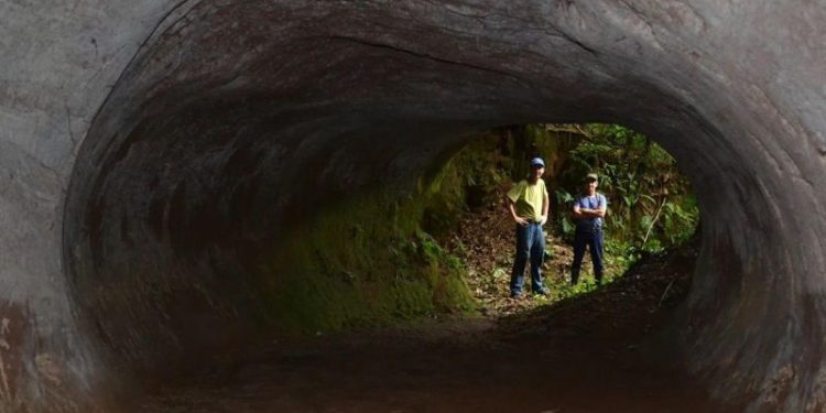 OS MISTERIOSOS TÚNEIS CAVADOS POR PREGUIÇAS-GIGANTES NO BRASIL