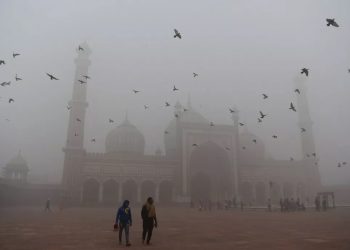 COMO SPRAY À BASE DE FUNGOS PODE AJUDAR A CAPITAL MAIS POLUÍDA DO MUNDO