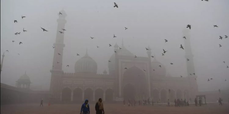 COMO SPRAY À BASE DE FUNGOS PODE AJUDAR A CAPITAL MAIS POLUÍDA DO MUNDO