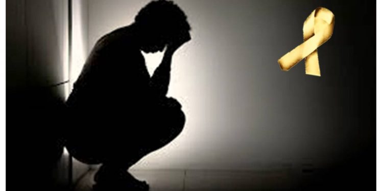 ESTUDO MAPEIA FATORES DE RISCO E PROTEÇÃO PARA COMPORTAMENTOS SUICIDAS