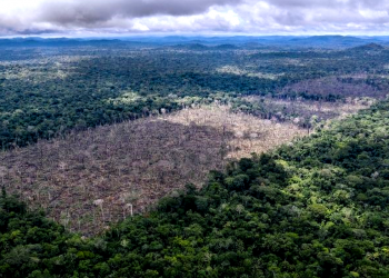 DESMATAMENTO LEGAL ZERO