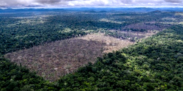 DESMATAMENTO LEGAL ZERO