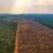 DESMATAMENTO NA AMAZÔNIA CAI 11% EM 2022