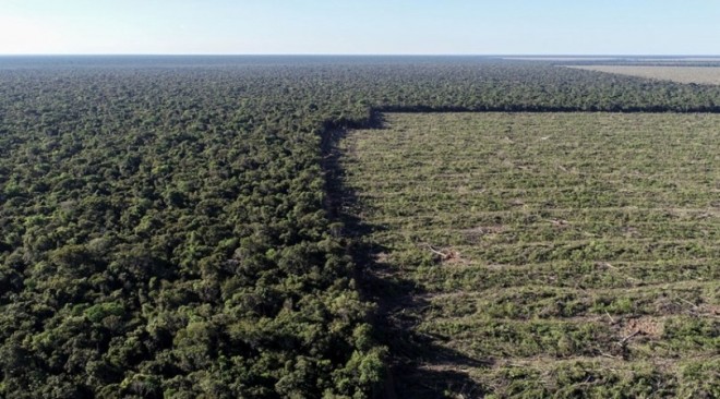 desmatamento-amazonia-aumenta