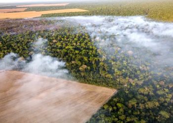 DESMATAMENTO NA AMAZÔNIA EM MARÇO QUASE TRIPLICA; TRIMESTRE É 2º PIOR DESDE 2008, APONTA IMAZON