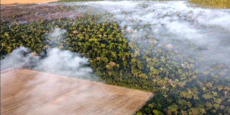 DESMATAMENTO NA AMAZÔNIA EM MARÇO QUASE TRIPLICA; TRIMESTRE É 2º PIOR DESDE 2008, APONTA IMAZON