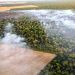 DESMATAMENTO NA AMAZÔNIA EM MARÇO QUASE TRIPLICA; TRIMESTRE É 2º PIOR DESDE 2008, APONTA IMAZON