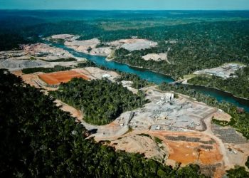O BIOMA DO PANTANAL E O CONTROLE DO DESMATAMENTO DESSE PATRIMÔNIO NO ESTADO DO MATO GROSSO DO SUL