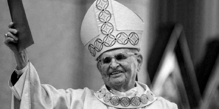 O GUERREIRO DA LIBERDADE