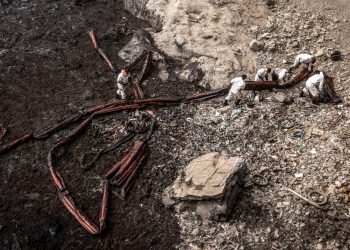 ECOCÍDIO: O QUE É E POR QUE PODE SER CONSIDERADO UM CRIME INTERNACIONAL?