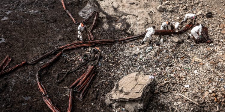 ECOCÍDIO: O QUE É E POR QUE PODE SER CONSIDERADO UM CRIME INTERNACIONAL?