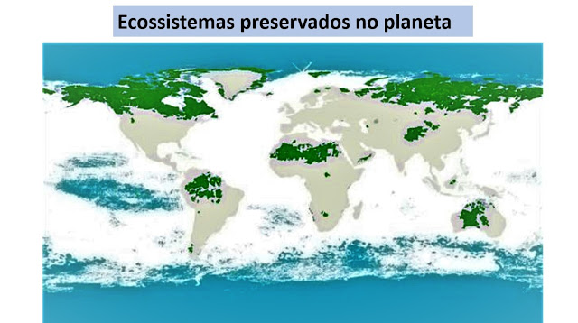 Com exceção do ecossistema amazônico, os demais ecossistemas preservados são desertos ou tundras gélidas