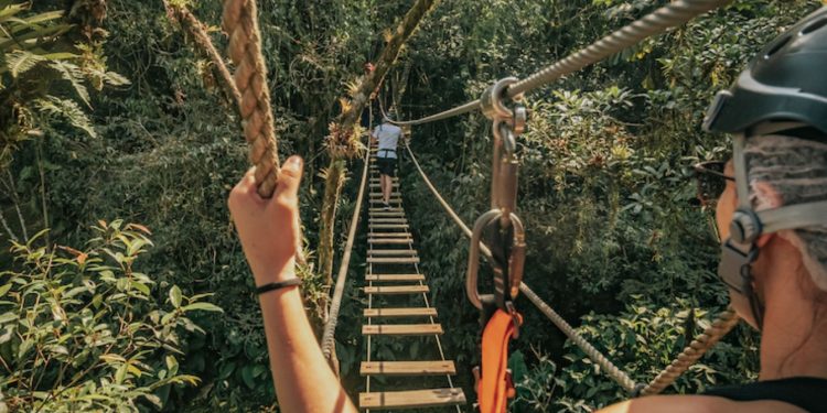 COMO O ECOTURISMO PODE TORNAR A GRANDE RESERVA MATA ATLÂNTICA REFERÊNCIA EM SUSTENTABILIDADE