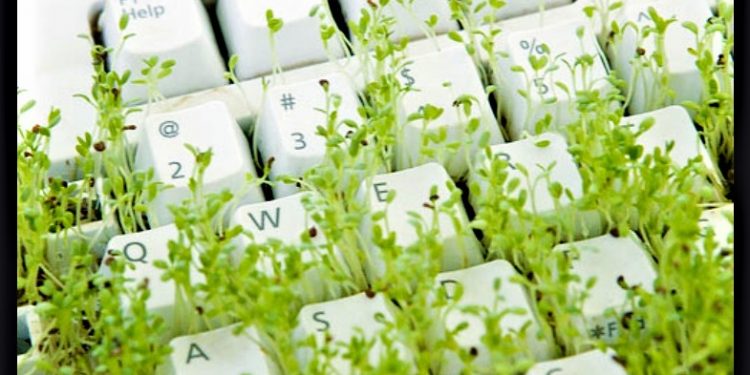 EQUILÍBRIO SUSTENTÁVEL NA ERA DIGITAL