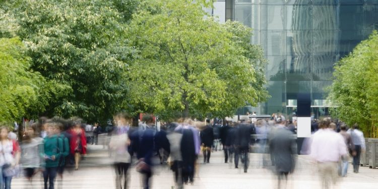 A IMPERIOSA NECESSIDADE DE UM CÓDIGO FLORESTAL ESPECÍFICO PARA O ESPAÇO URBANO