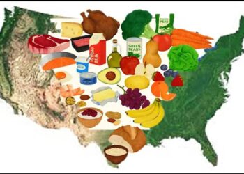 O FIM DA ERA DOS CARBOIDRATOS? ANÁLISE TÉCNICA DA NOVA POLÍTICA ALIMENTAR NORTE AMERICANA