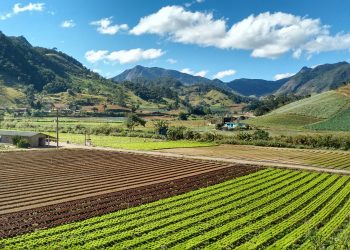 BRASIL PODE DOBRAR PRODUÇÃO AGRÍCOLA SEM DERRUBAR UM HECTARE