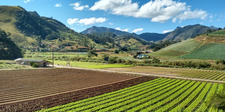 BRASIL PODE DOBRAR PRODUÇÃO AGRÍCOLA SEM DERRUBAR UM HECTARE
