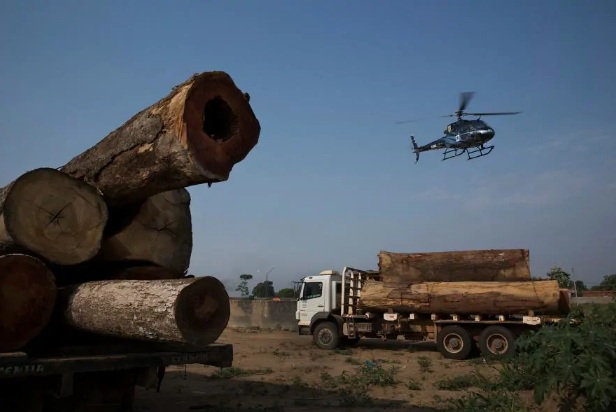 A extração ilegal de madeira continua sendo uma grande ameaça na Amazônia. Aqui, caminhões carregando árvores extraídas ilegalmente da floresta tropical são detidos pela agência brasileira de proteção ambiental.( foto de Lalo de Almeida, The New Yor Times)