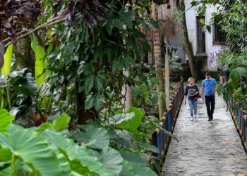 OS ‘CORREDORES VERDES’ DE MEDELLÍN PARA COMBATER CALOR EXTREMO