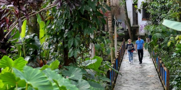 OS ‘CORREDORES VERDES’ DE MEDELLÍN PARA COMBATER CALOR EXTREMO