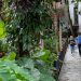 OS ‘CORREDORES VERDES’ DE MEDELLÍN PARA COMBATER CALOR EXTREMO